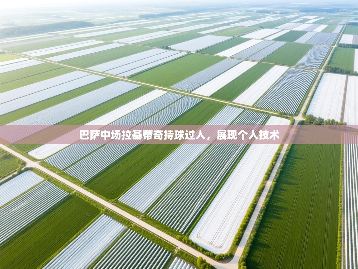 巴萨中场拉基蒂奇持球过人，展现个人技术  第2张