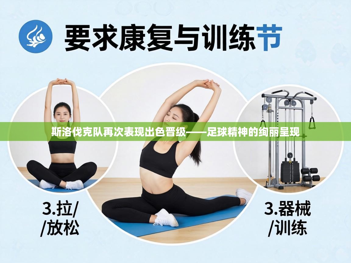 斯洛伐克队再次表现出色晋级——足球精神的绚丽呈现  第2张